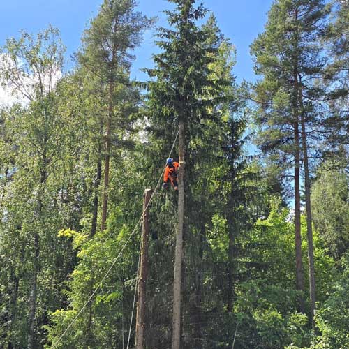 Puun kaato kiipeillen Pirkanmaalla