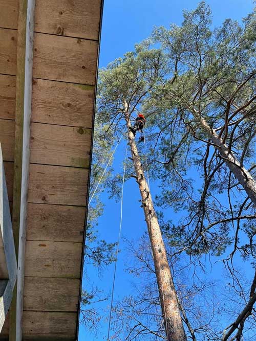 Puunpätkien lasku hallitusti pihalle