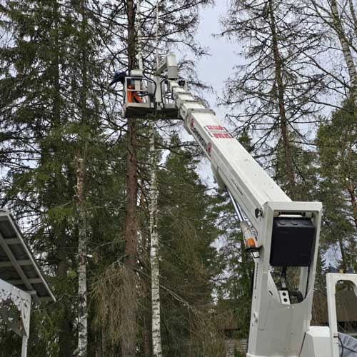 Nosturilla tehtävä puun kaato