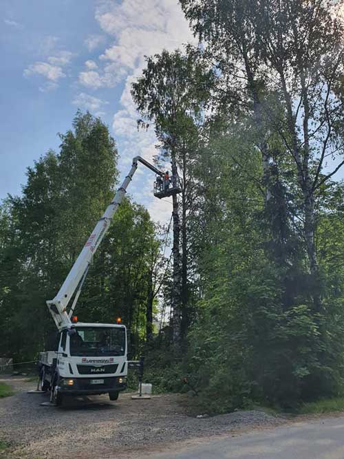 Puun kaato nostokorista Pirkanmaa